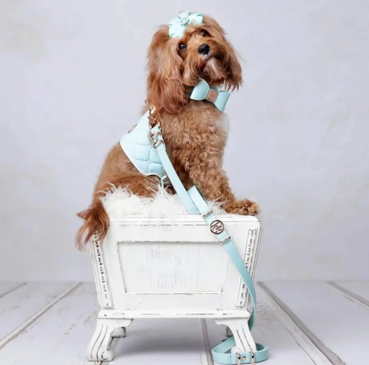 Leather Bow Collar (Only) ‘Aquamarine’