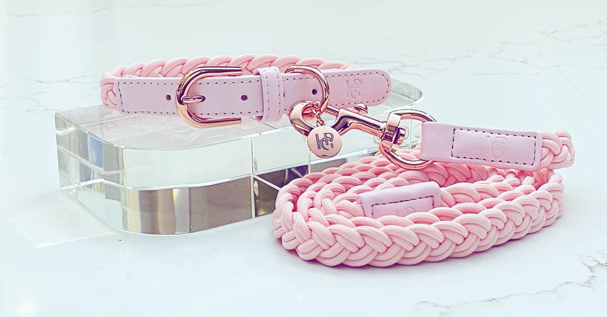 Dog Collar Baby Pink Plaited