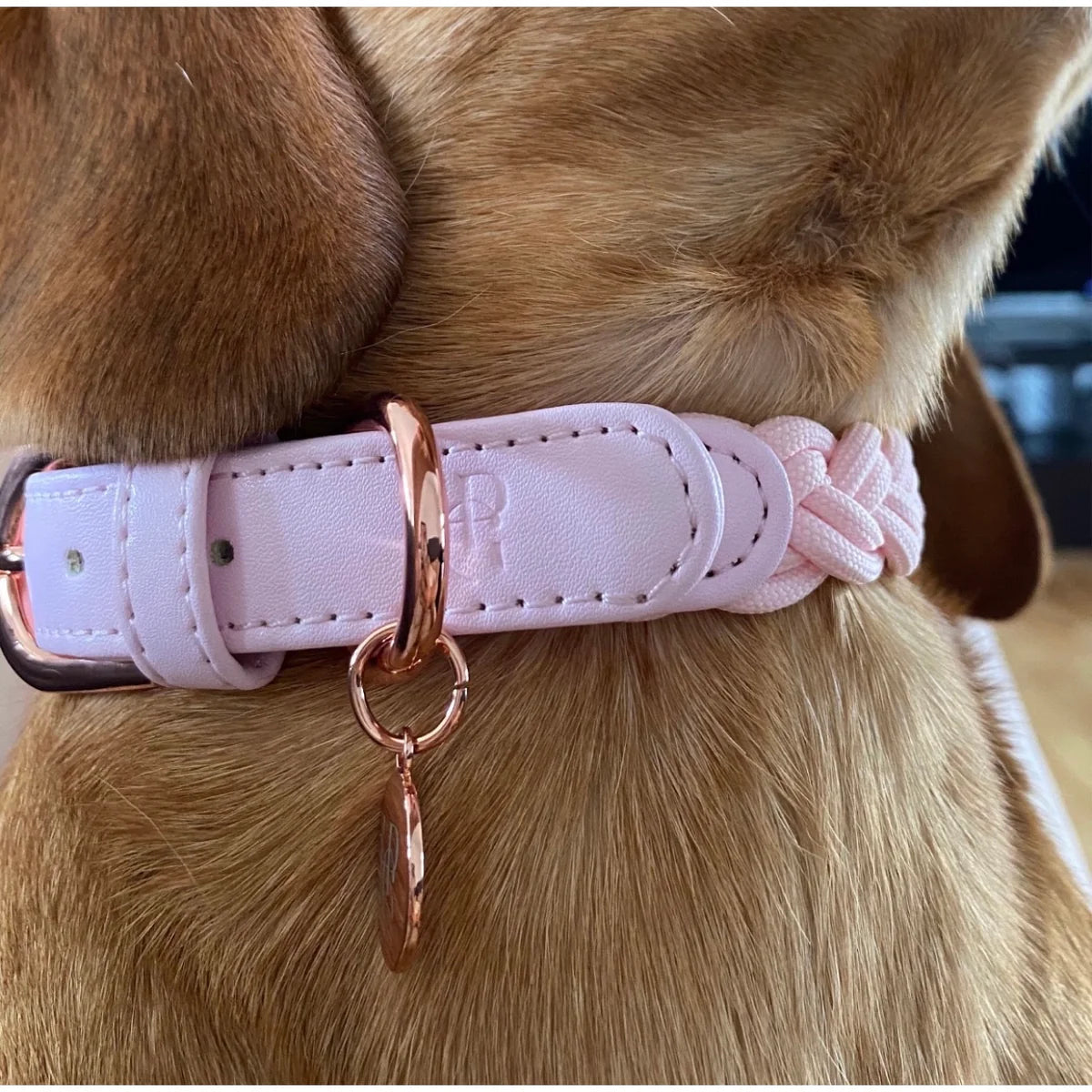 Dog Collar Baby Pink Plaited