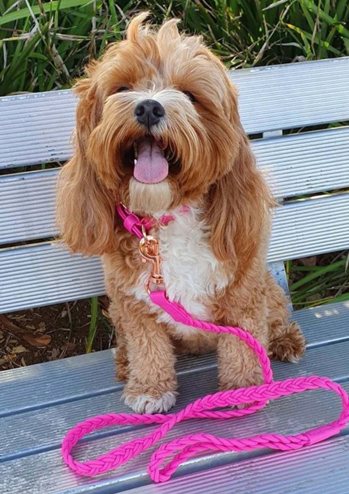 Dog Collar ‘Lipstick’ Plaited