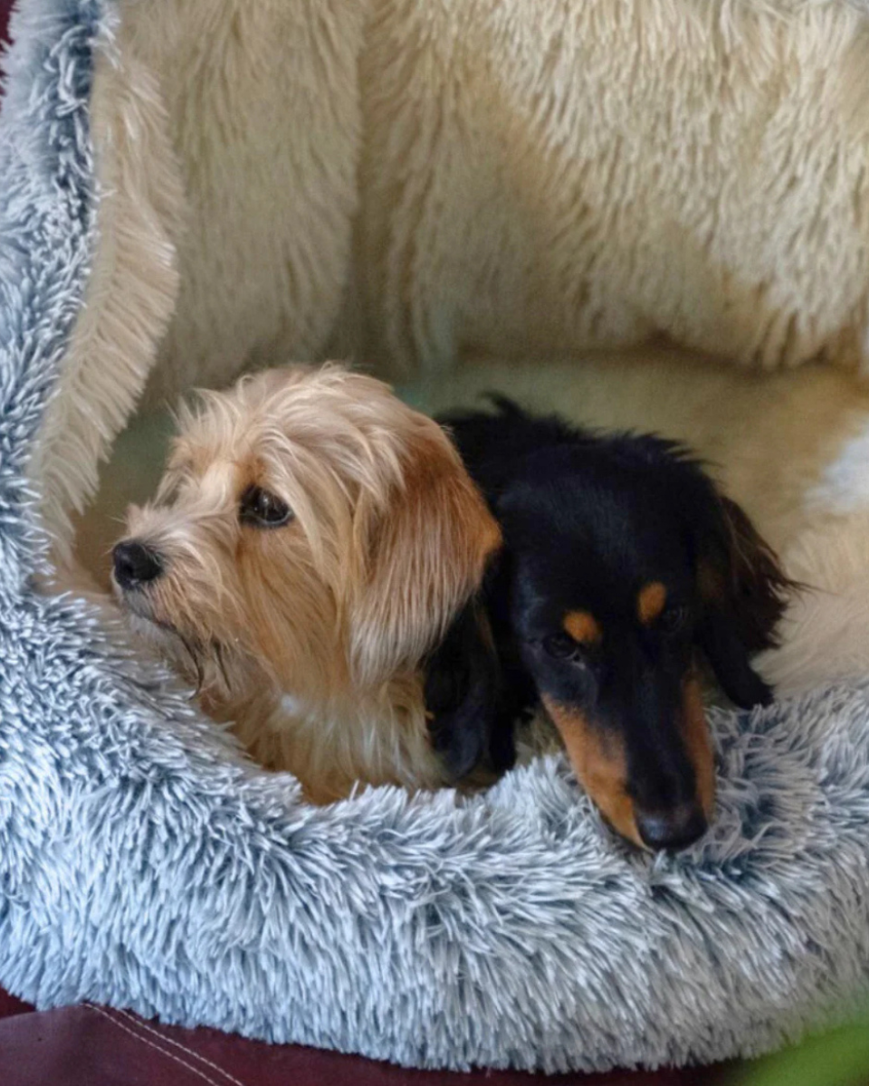 Elite Calming Plush Nest Pet Bed