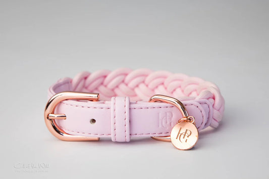 Dog Collar Baby Pink Plaited