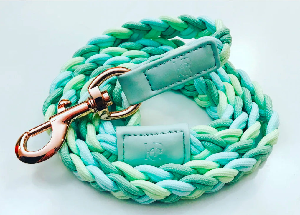 Dog Leash ‘Aquamarine’