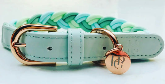 Dog Collar ‘Aquamarine’ Plaited