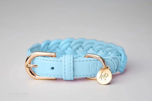 Dog Collar Blue Plaited