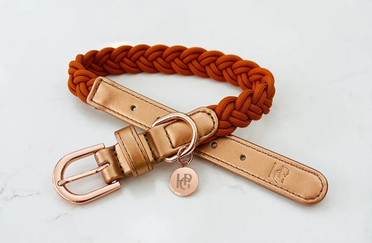 Dog Collar ‘Sunset’ Plaited