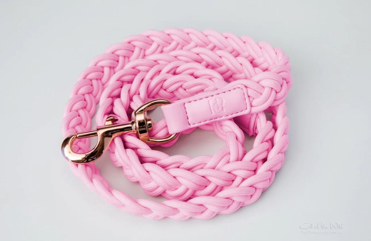 Dog Leash Taffy Pink Plaited