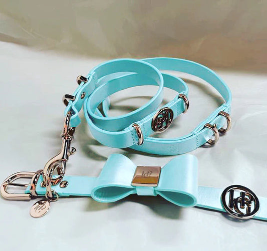 Pre-Order Leather Dog Leash (Only) ‘Aquamarine’