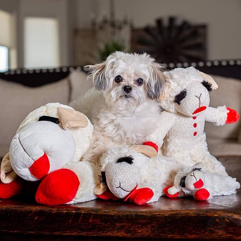 Elite Lamb Plush Squeaker Toy