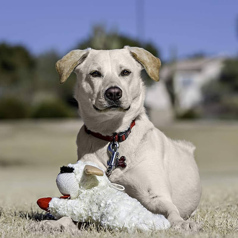 Elite Lamb Plush Squeaker Toy