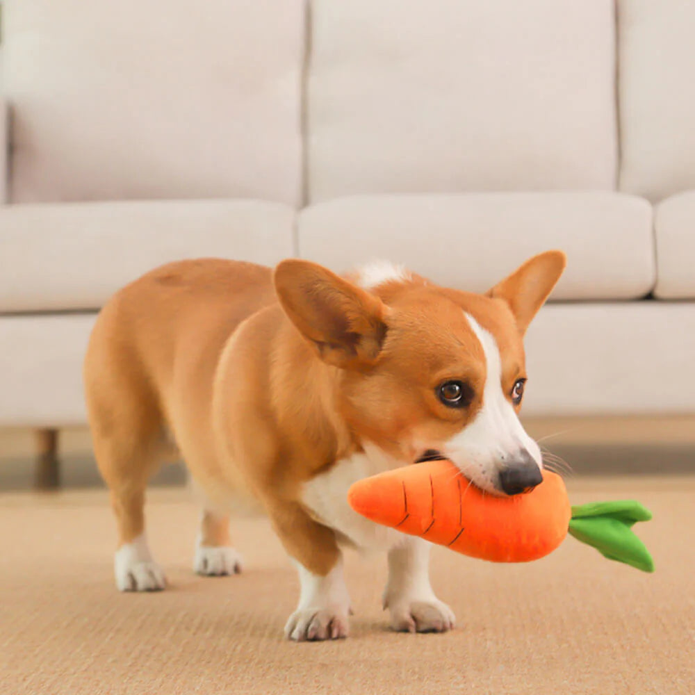 Elite Carrot Squeaky Plush Toy