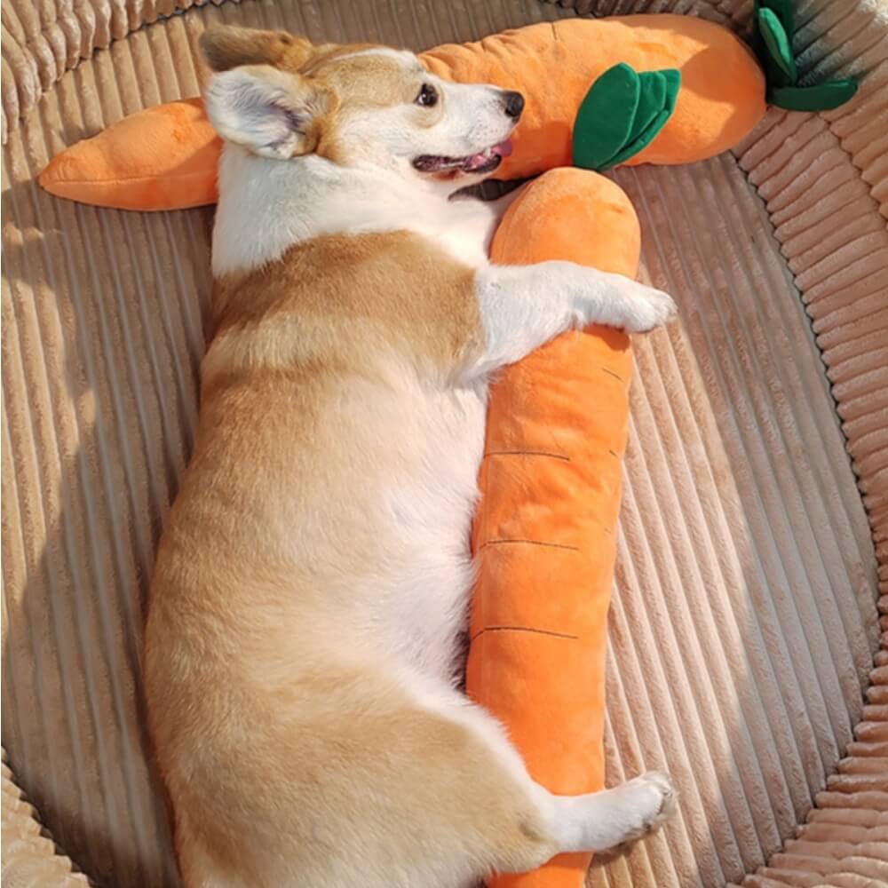 Elite Carrot Squeaky Plush Toy