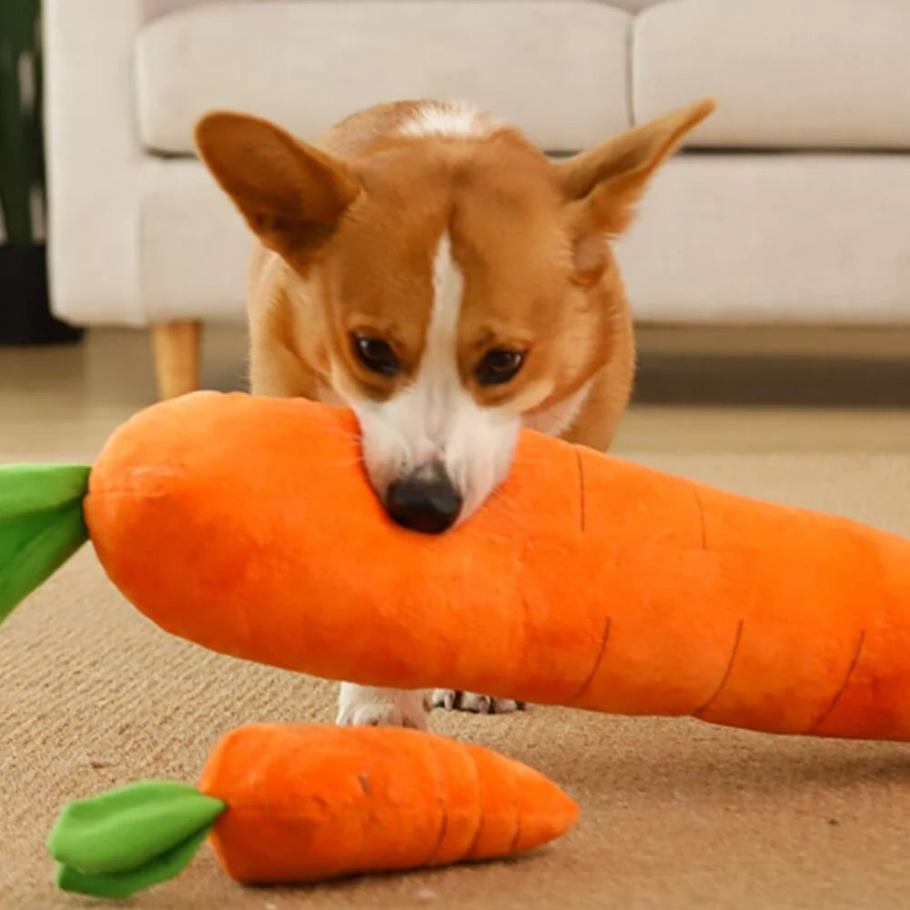 Elite Carrot Squeaky Plush Toy