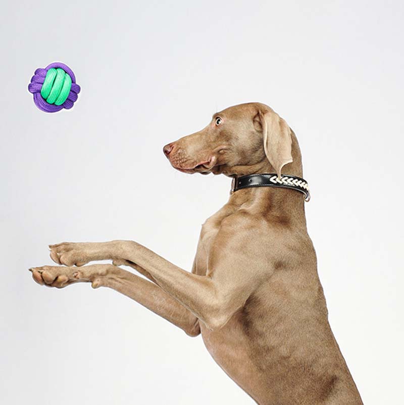 Elite Knots Ball Throwing Dog Toy