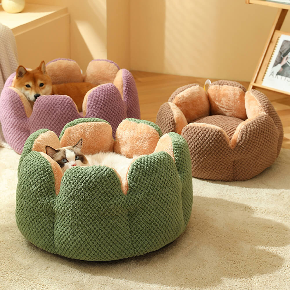 Elite Cactus Shape Pet Bed