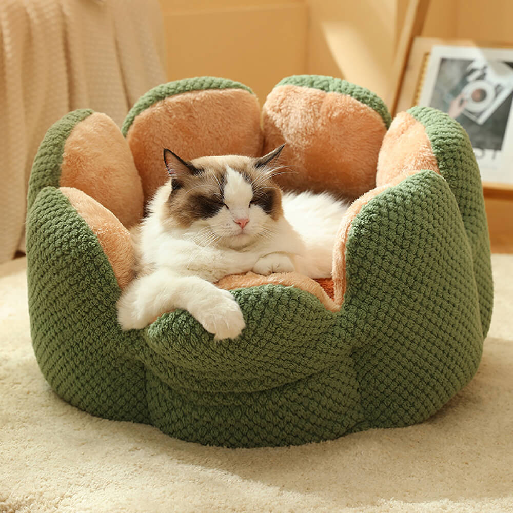 Elite Cactus Shape Pet Bed