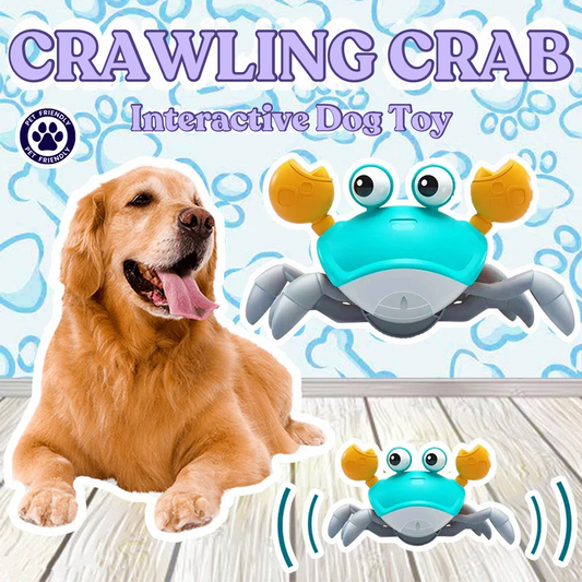 Elite Crawling Crab - Interactive Dog Toy